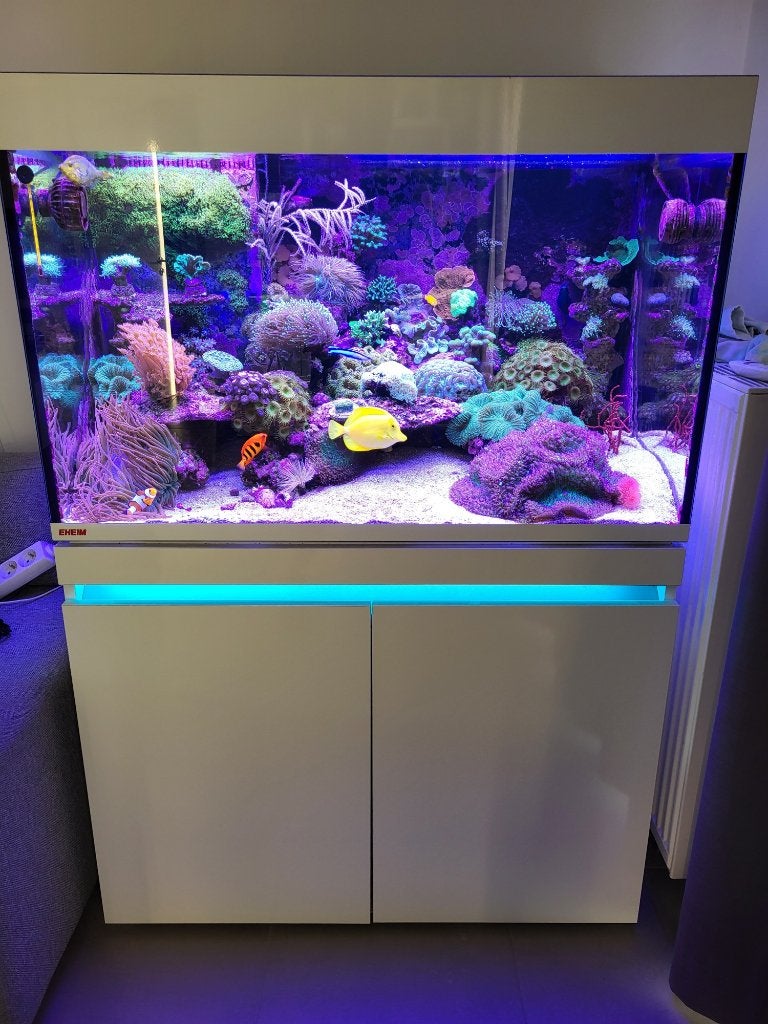 Eheim Set Incpiria Reef 330, Ophalen, Gebruikt, Inclusief deksel, Leeg aquarium