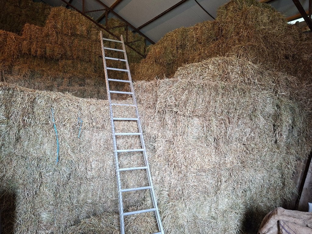 hooi kleine balen, Enlèvement, Bétail