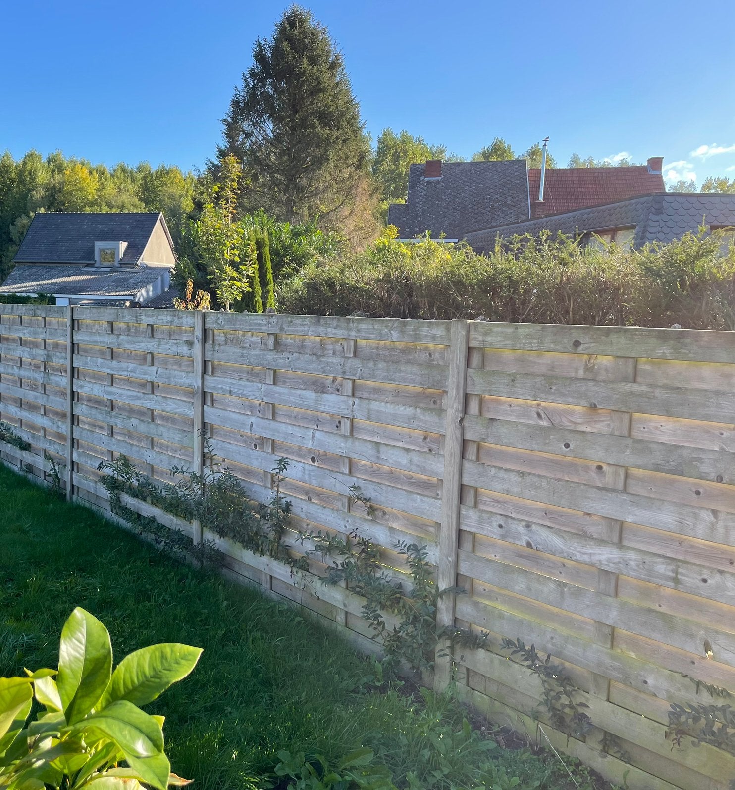 Houten Tuinschermen 180cm in grenen. 22 stuks., Ophalen, Gebruikt, 150 tot 200 cm, 150 tot 200 cm