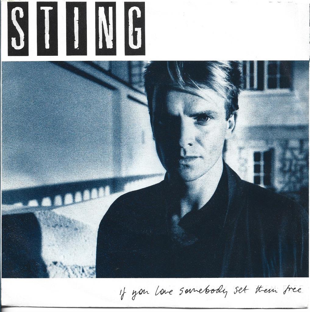 Sting Anoter day, Cd's en Dvd's, Vinyl | Overige Vinyl, Fotohoes, Ophalen of Verzenden, Zo goed als nieuw
