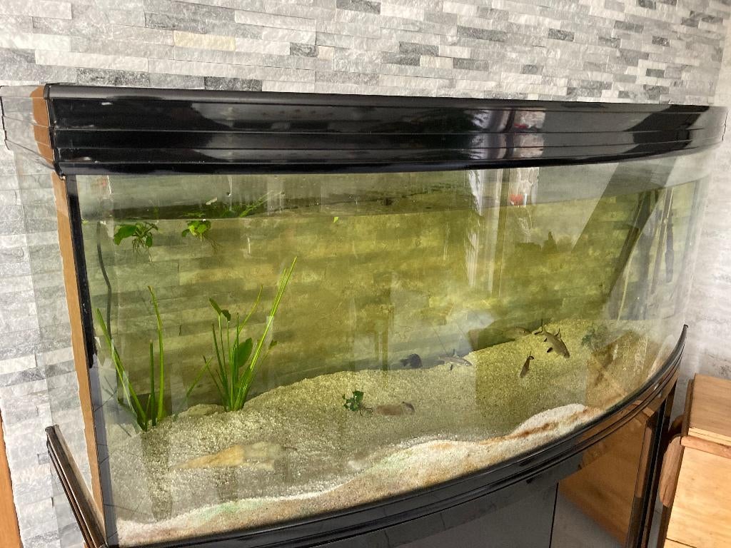Aquarium complet de 450L., Animaux & Accessoires, Poissons | Aquariums & Accessoires, Enlèvement, Poissons inclus, Utilisé, Aquatlantis