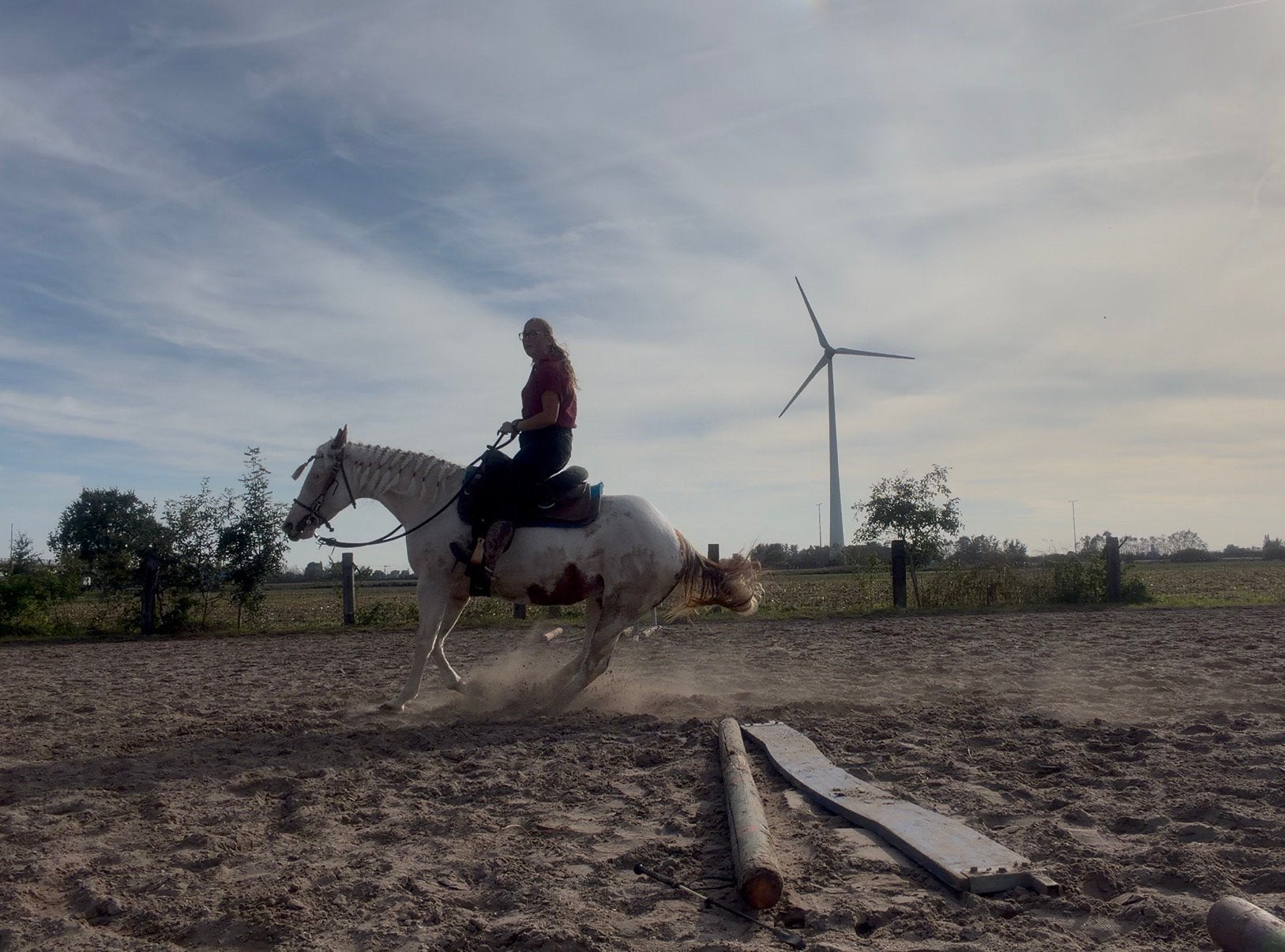 6 jarige paint merrie met potentieel!, Jument