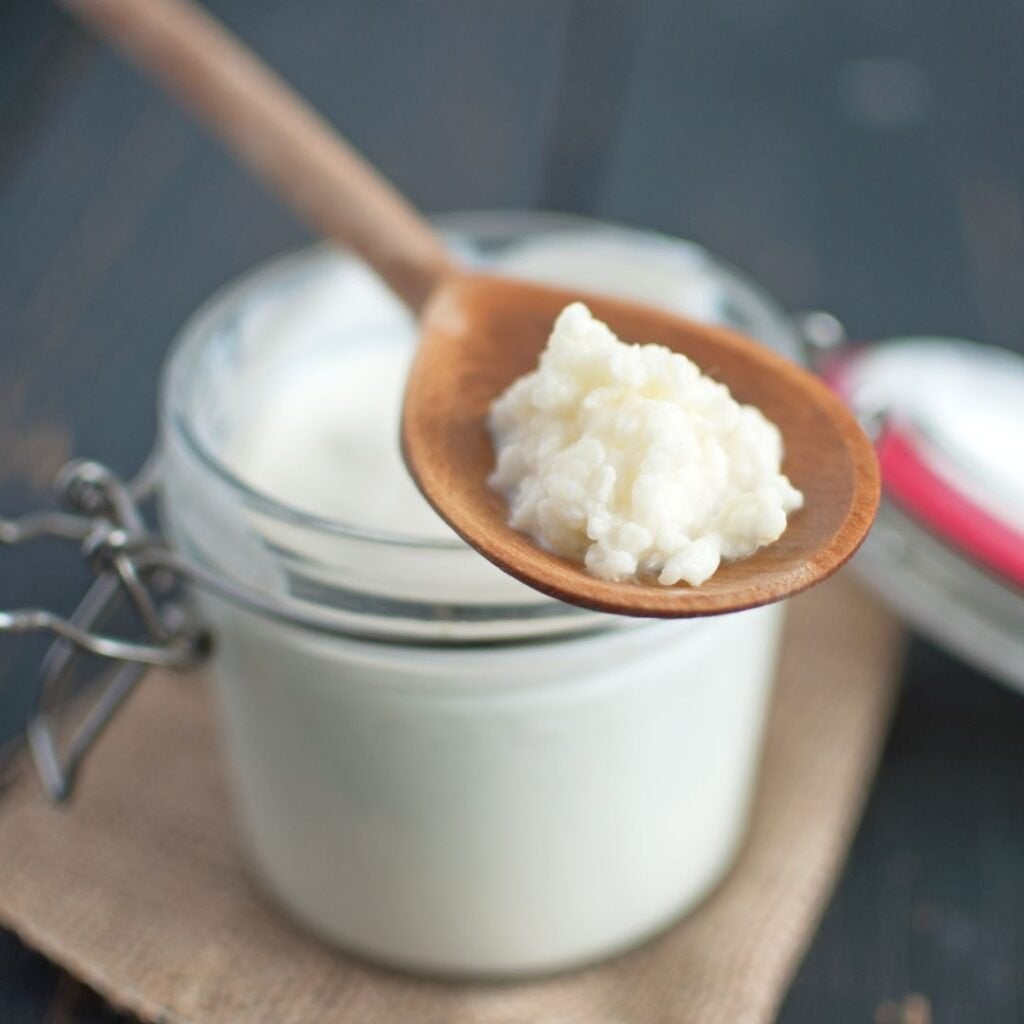 kefir korrels melk yoghurt bloemetjes, Ophalen