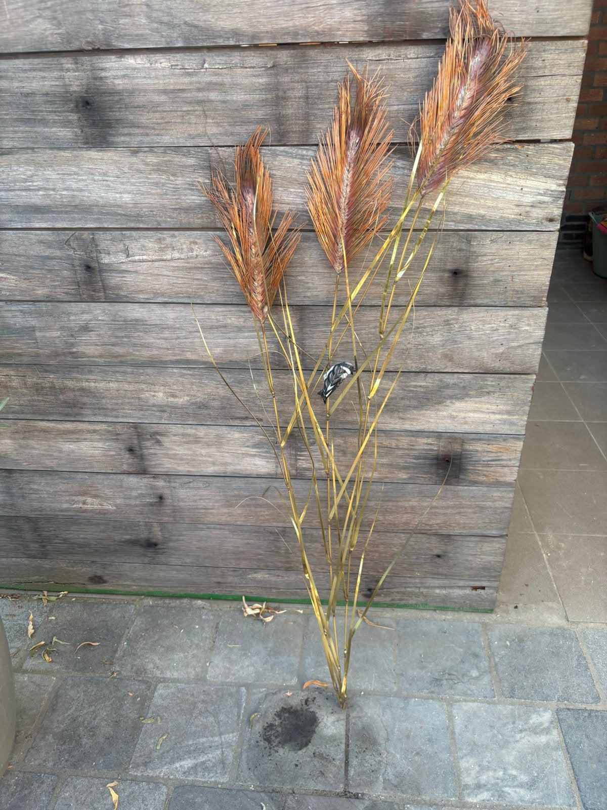 Brutalistisch wandsculptuur Daniël D'Haeseleer, jaren 70, Ophalen, Zo goed als nieuw