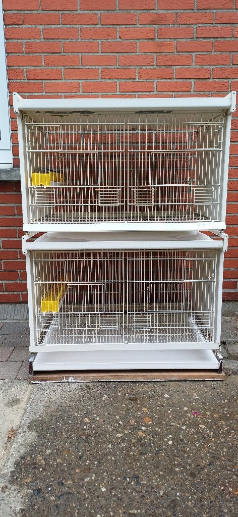 Ruime Vlucht kooi, broed kooi, kweek kooi met bodemroosters, Dieren en Toebehoren, Ophalen, Gebruikt, Metaal, Broedkooi of Kweekkooi