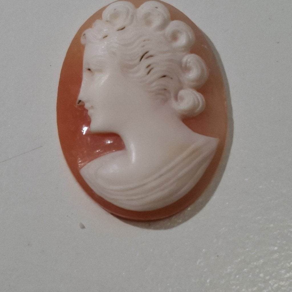 Camée en forme de coquille détachée +/- 1900, Bijoux, Sacs & Beauté, Bijoux anciens, Envoi, Autres matériaux, Autres types