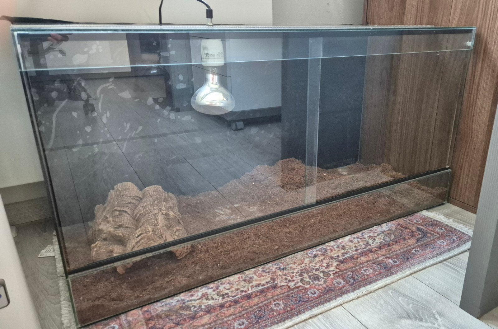Terrarium glas, Dieren en Toebehoren, Ophalen, Gebruikt, Terrarium of Paludarium