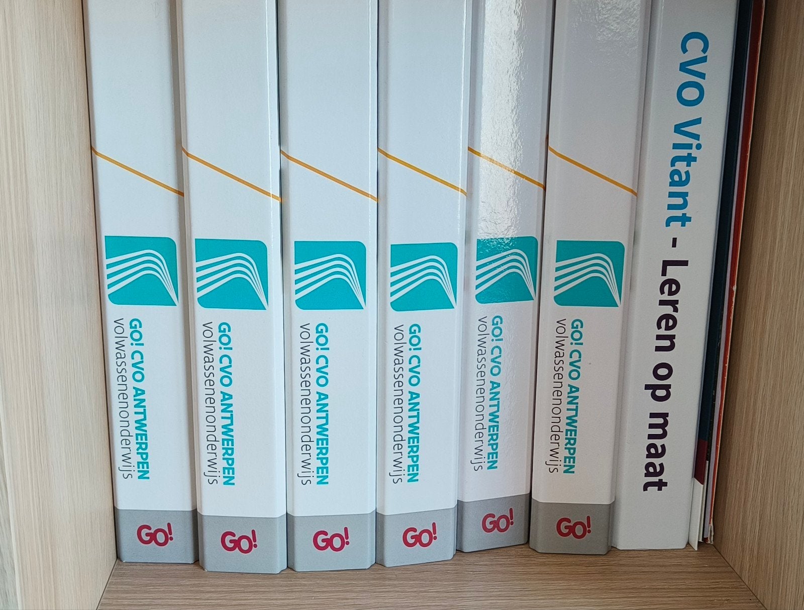 Course books NT2 Dutch (1.1-2.4), Enlèvement