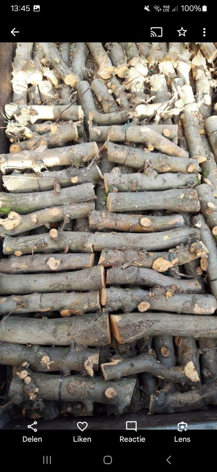 Bois de pommier séché 3 ans et graines/tubercules, Enlèvement