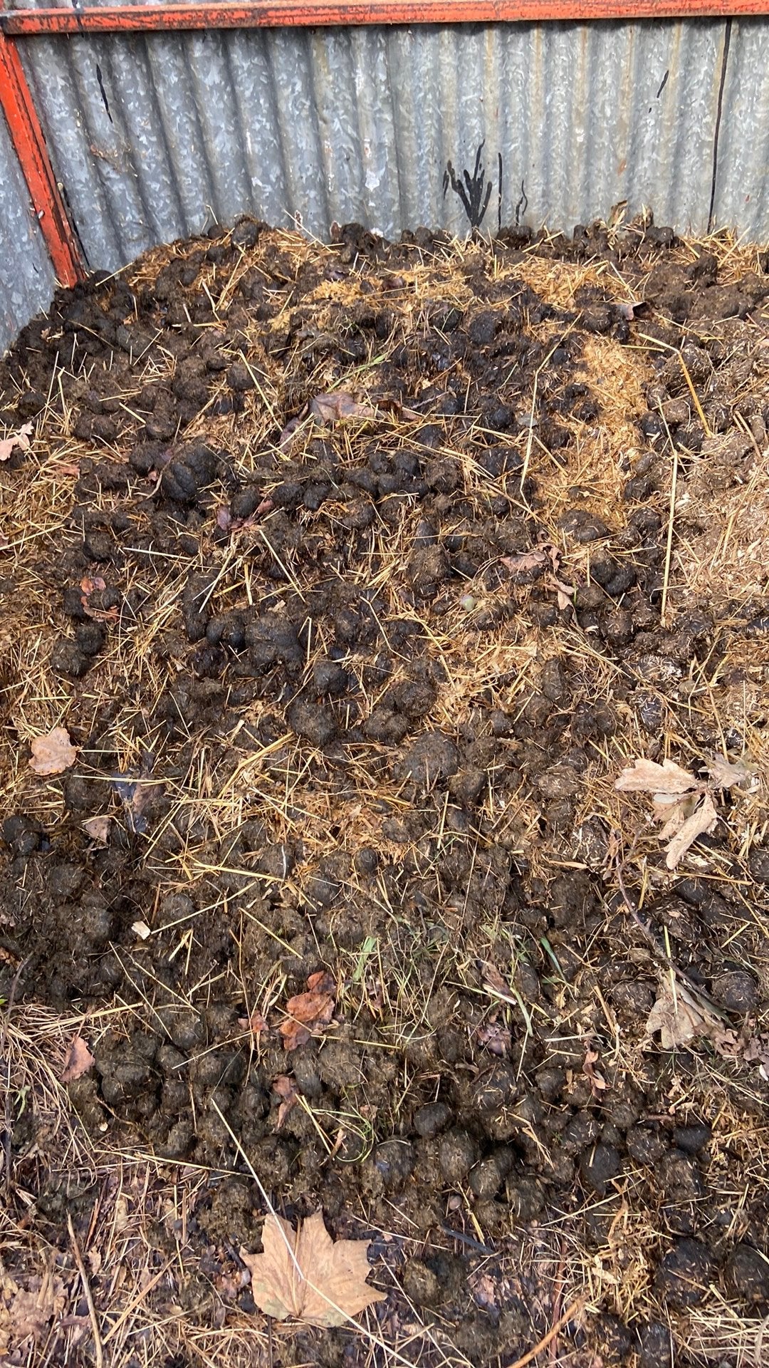 Gratis paardenmest, Tuin en Terras, Ophalen