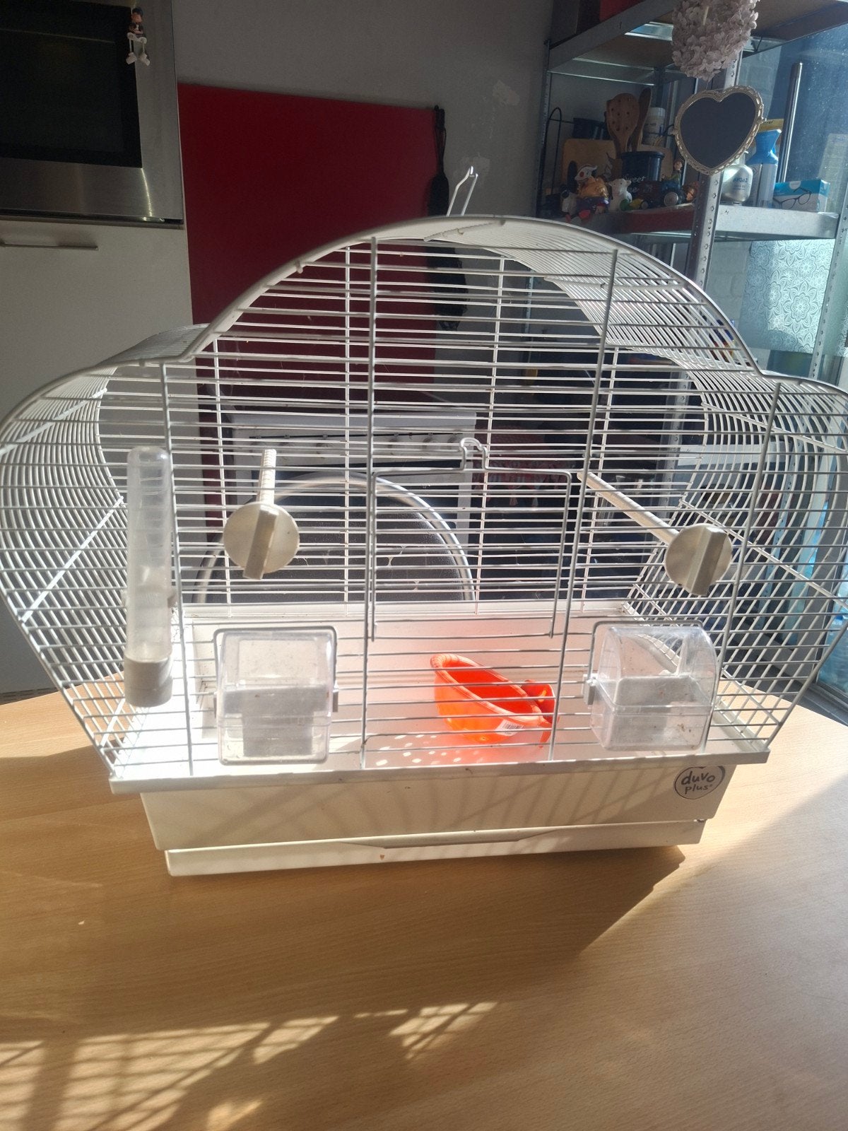 vogelkooi te koop, Ophalen, Gebruikt, Metaal, Vogelkooi