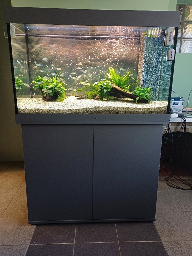 juwel rio 290 prijsverlaging : 100 € !!!, Dieren en Toebehoren, Ophalen, Pomp, Juwel, Gevuld zoetwateraquarium