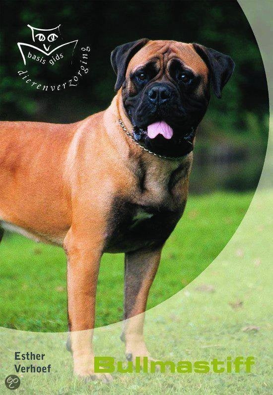 Basisgids dierenverzorging Bullmastiff Esther Verhoef 64 blz, Livres, Animaux & Animaux domestiques, Comme neuf, Enlèvement ou Envoi
