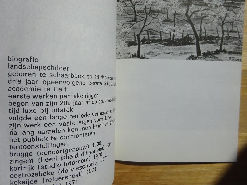 Frans Rubens, brochure, Tielt, 1971, Enlèvement ou Envoi, Utilisé, Peinture et dessin