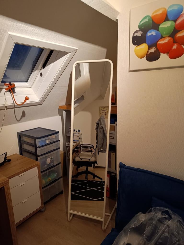 Staande spiegel (als nieuw), Ophalen
