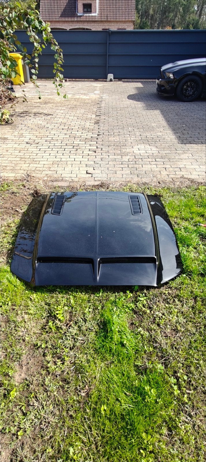 Cervini motorkap 2013/2014 Ford Mustang, Ophalen, Gebruikt, Ford, Motorkap