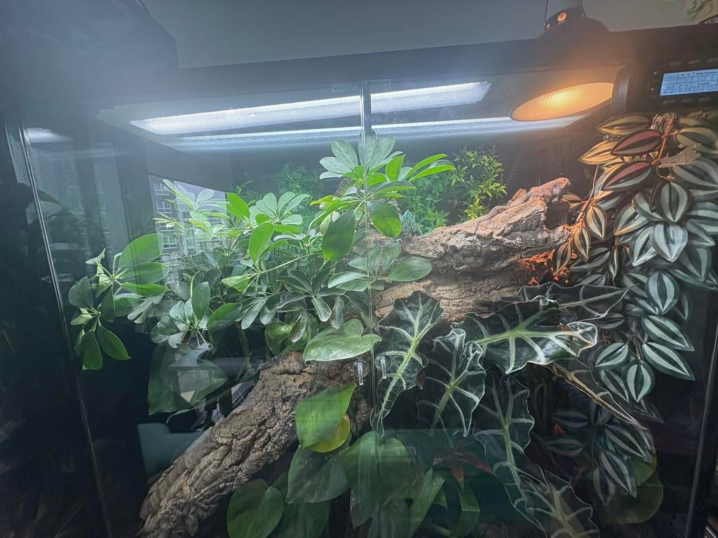 Terrarium habistat 90x45x90, Ophalen, Zo goed als nieuw