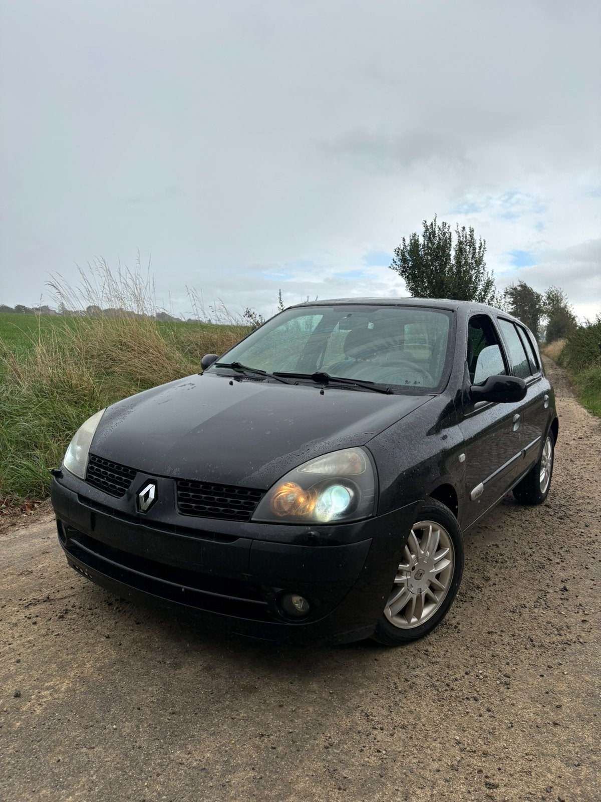 Renault Clio 1.6 Essence Automatique Xénon 5 port 163 969 km, Achat, Entreprise, Cruise Control, Alcantara