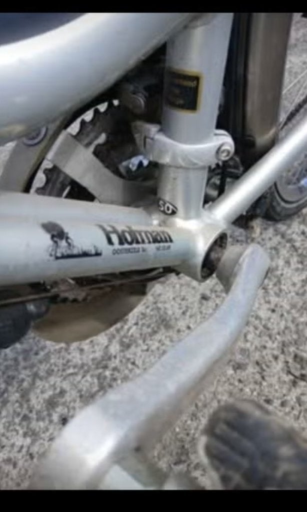 Koga/Hoffman damesfiets, Ophalen, Gebruikt