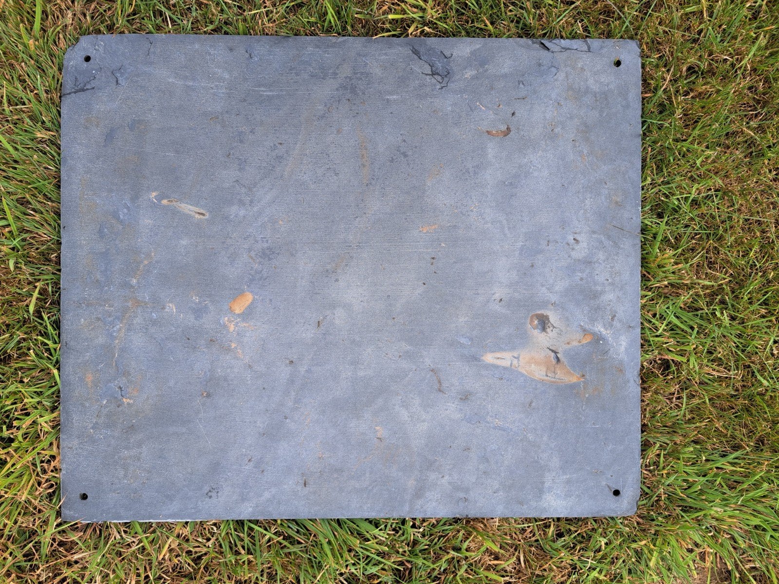 Tableau artisanal pour  enfant   ( plaque de chiste), Enlèvement