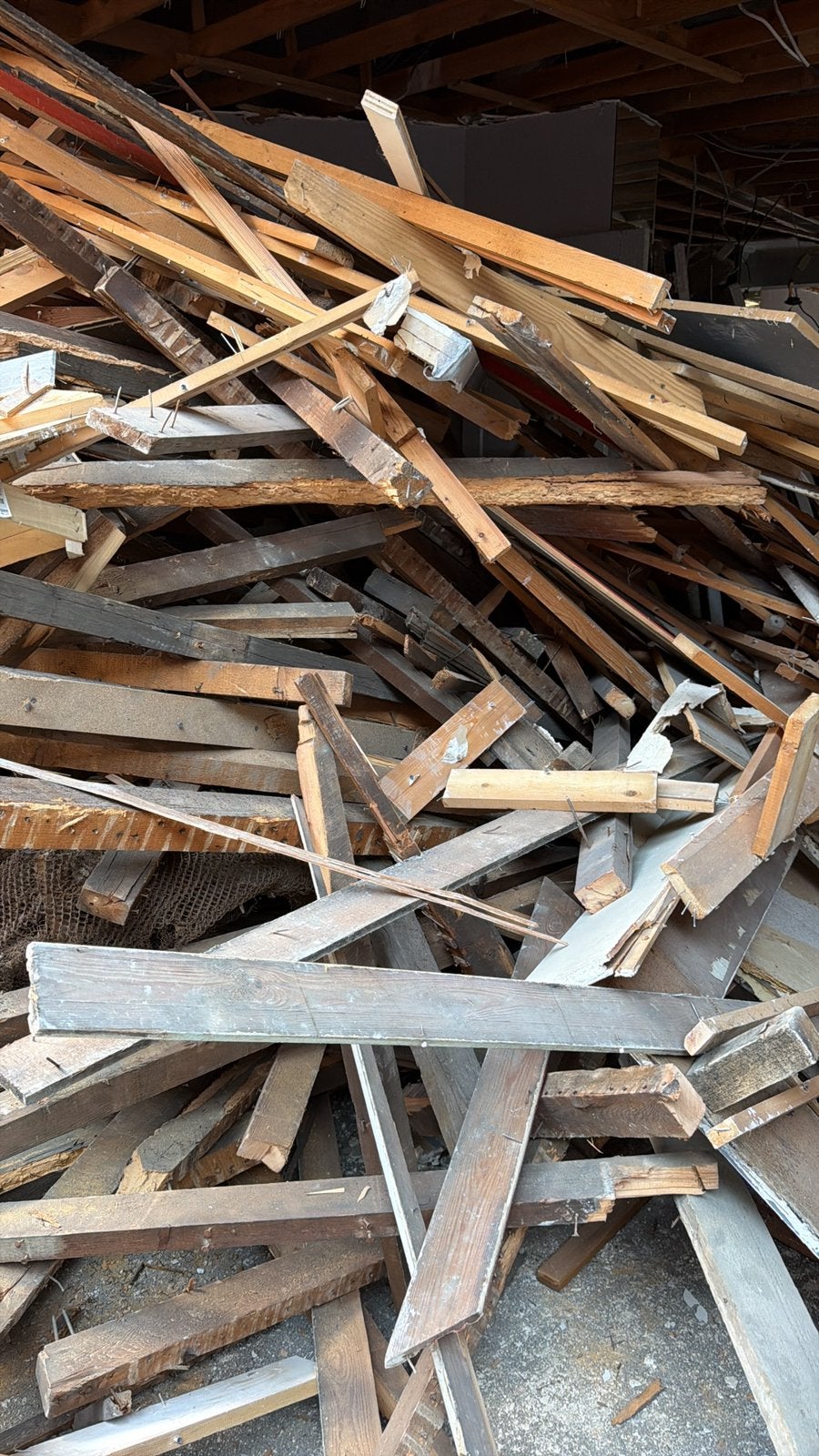 hout gratis op te halen te Mol, Ophalen, Berkenhout