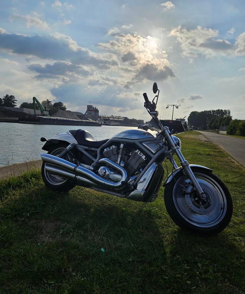 V-Rod, Motoren, Motoren | Harley-Davidson, Particulier