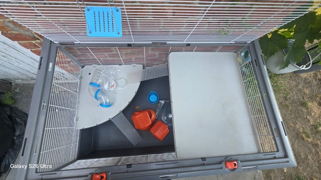 Hamsterhok, Ophalen, Gebruikt, Kooi, Hamster
