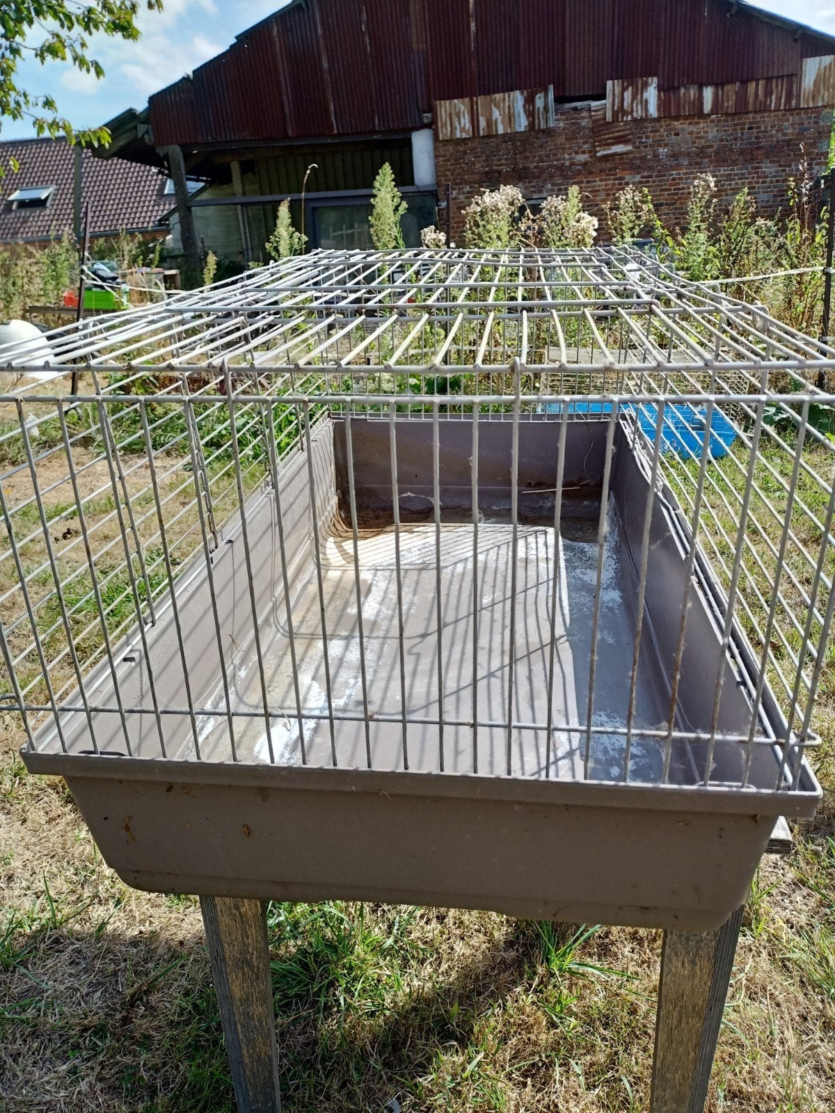 cage pour lapin, Animaux & Accessoires, Enlèvement, Cage, Lapin