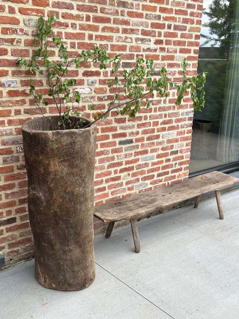 Antieke naga tree trunk pot (voor binnen of overdekt terras), Ophalen, Zo goed als nieuw, Binnen