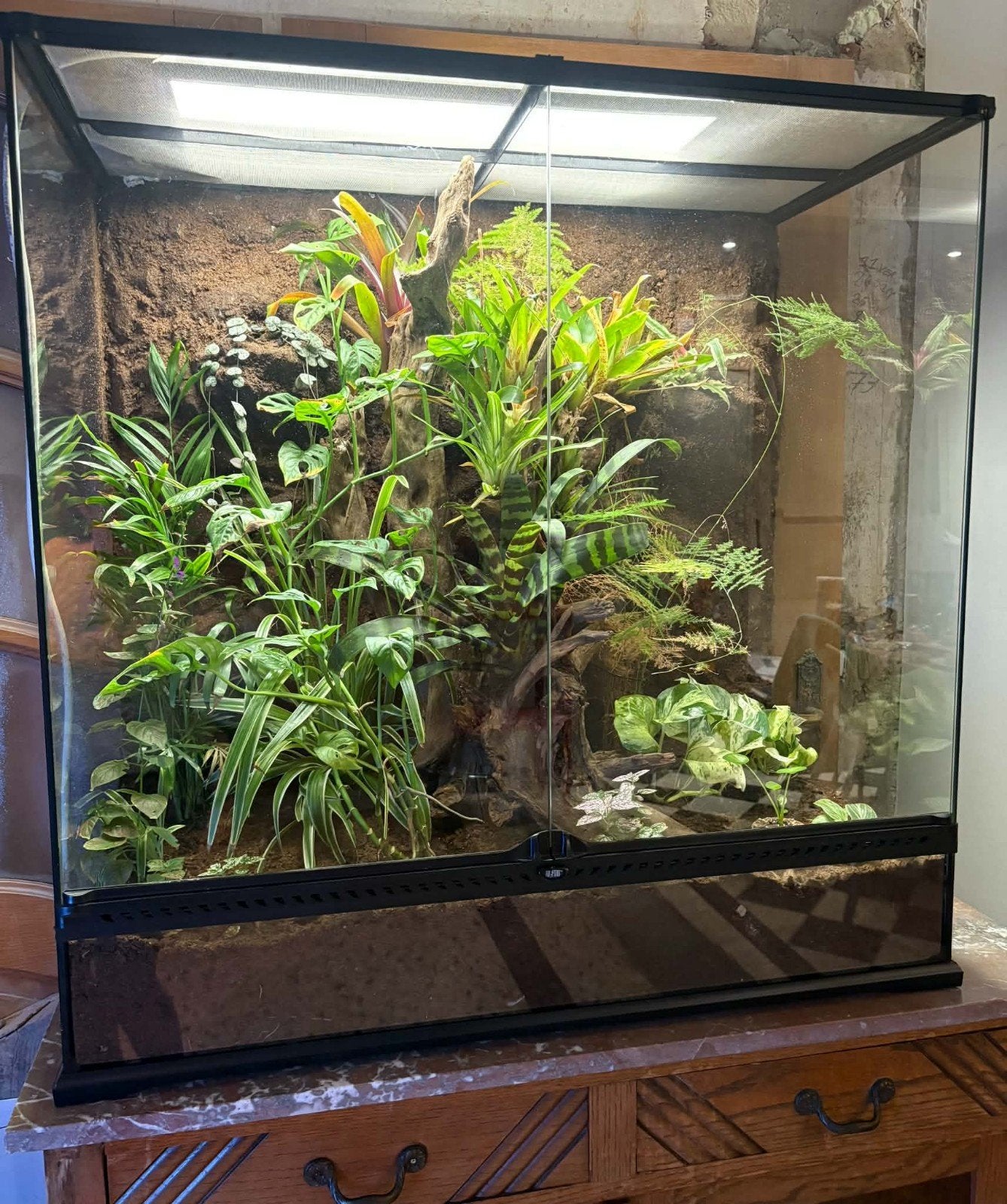 Terrarium exo terra, Animaux & Accessoires, Enlèvement, Neuf, Terrarium ou Paludarium