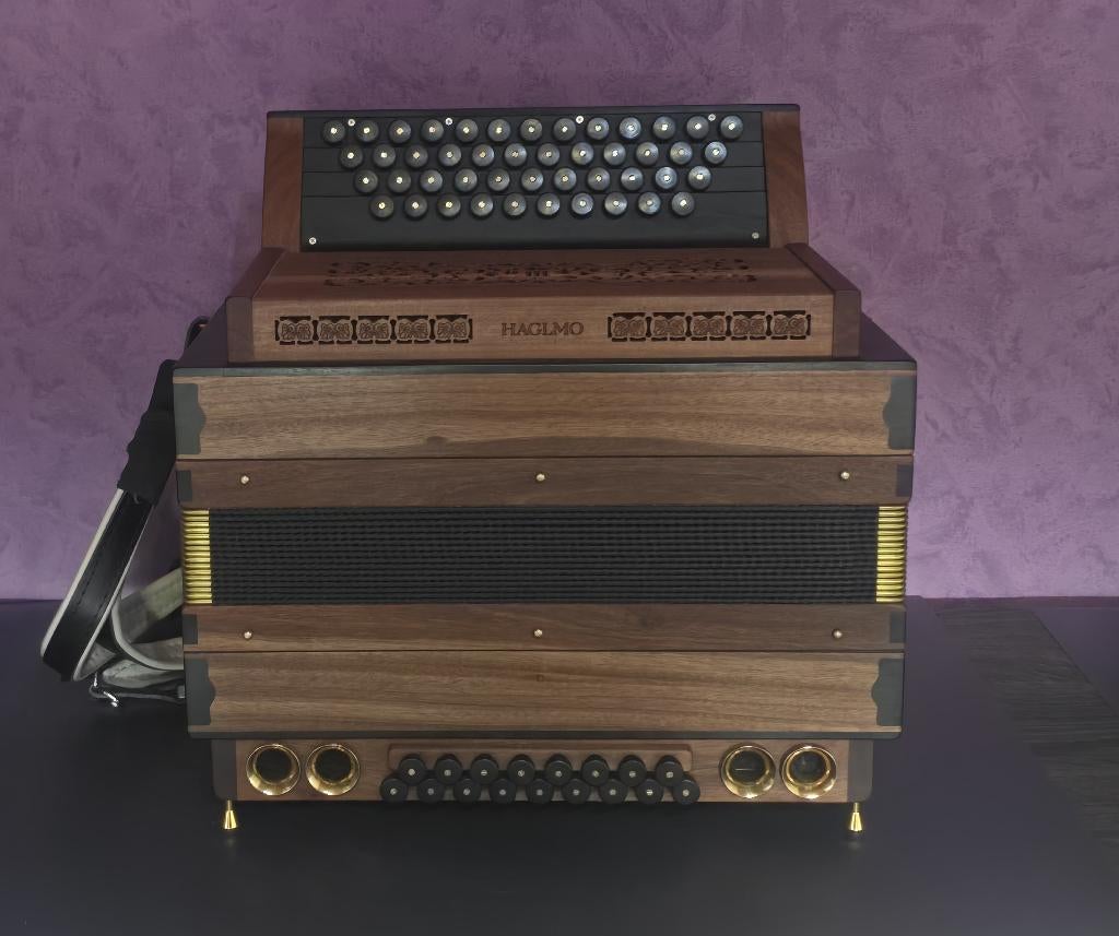 Steirische Harmonika - Haglmo, Musique & Instruments, Accordéons, Autres marques, Autres formats, Comme neuf, Enlèvement