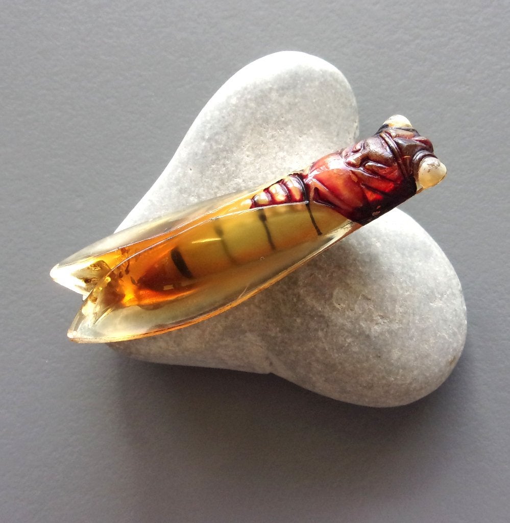 Broche cigale Art déco française en celluloïd transparent, Enlèvement ou Envoi, Beige, 4 à 7 cm, Utilisé