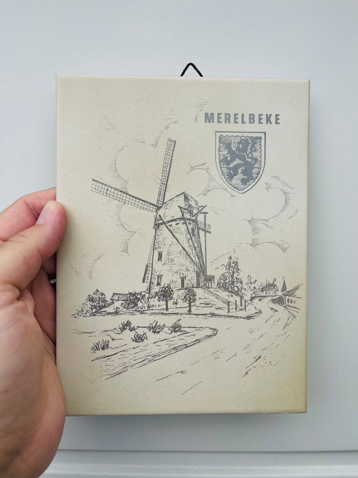 Tegel Merelbeke (keramiek) 20X10, Boeken, Ophalen of Verzenden, Zo goed als nieuw