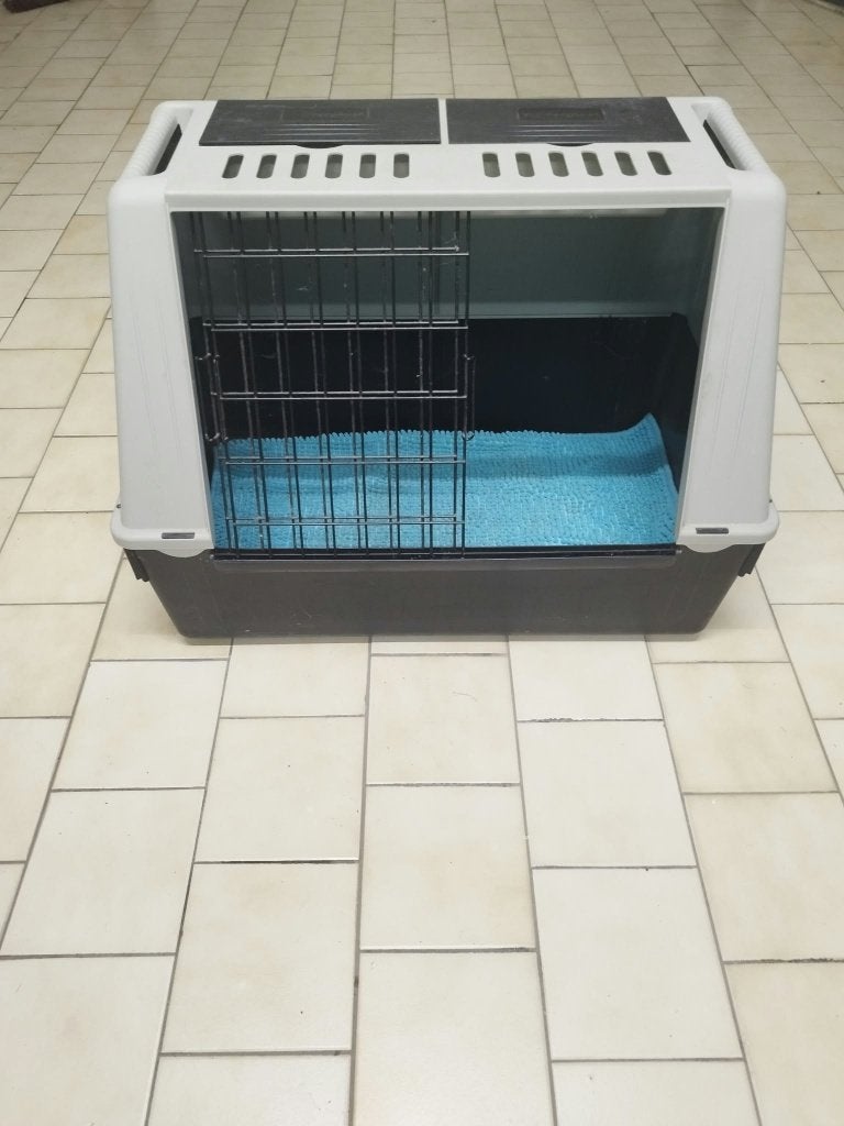 Benche, Dieren en Toebehoren, Ophalen, Gebruikt