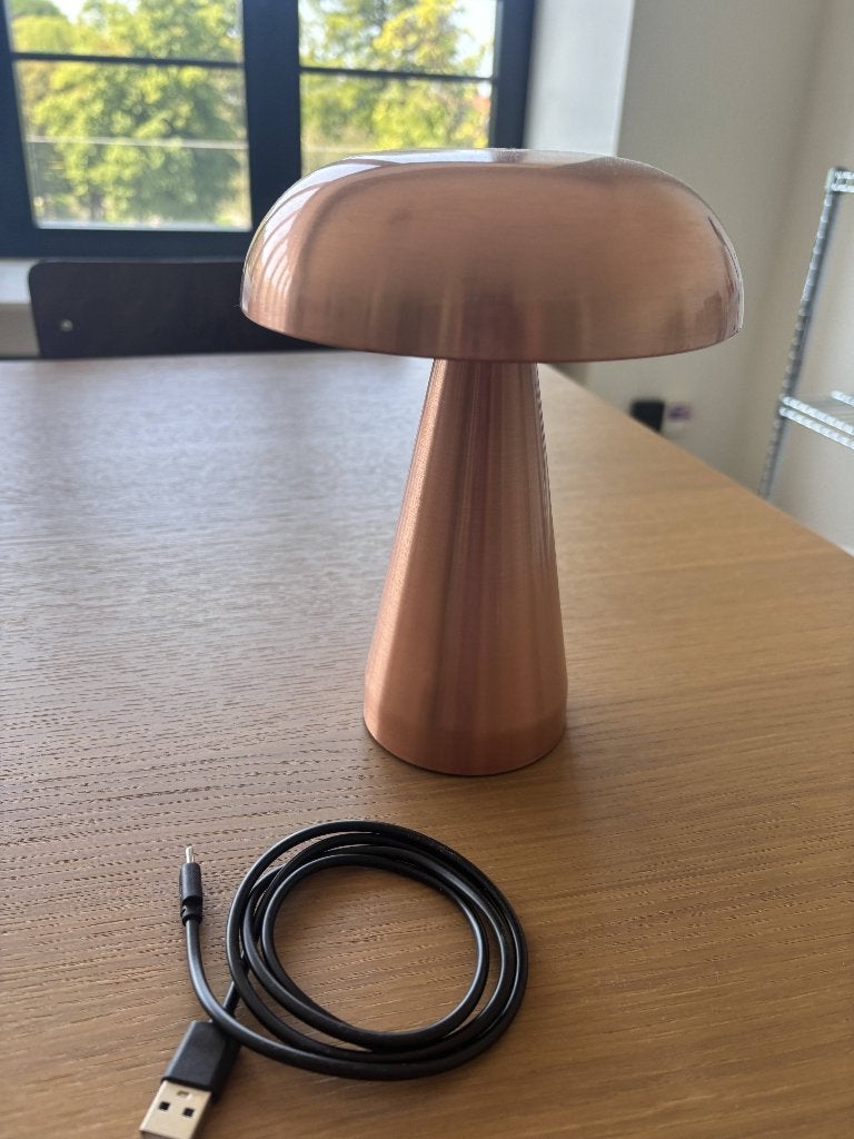 Brons lampje, Ophalen, Zo goed als nieuw, Minder dan 50 cm