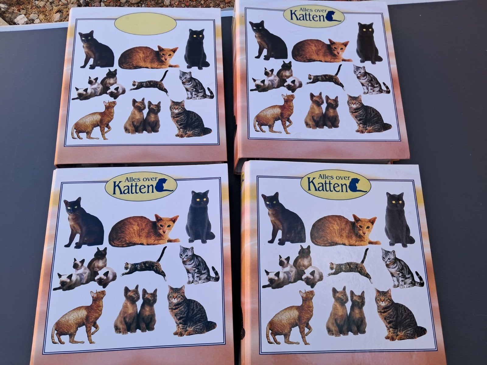 4 mappen over katten, Ophalen, Katten