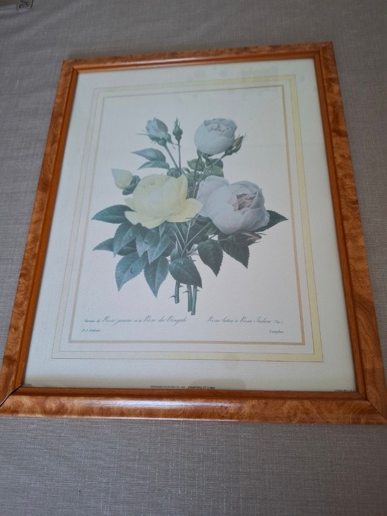 Kaders, Antiek en Kunst, Kunst | Schilderijen | Klassiek, Overige stijlen, Achter glas, Ophalen, Bloemen