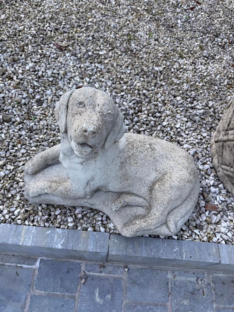 Labrador hond, Tuin en Terras, Ophalen of Verzenden, Zo goed als nieuw