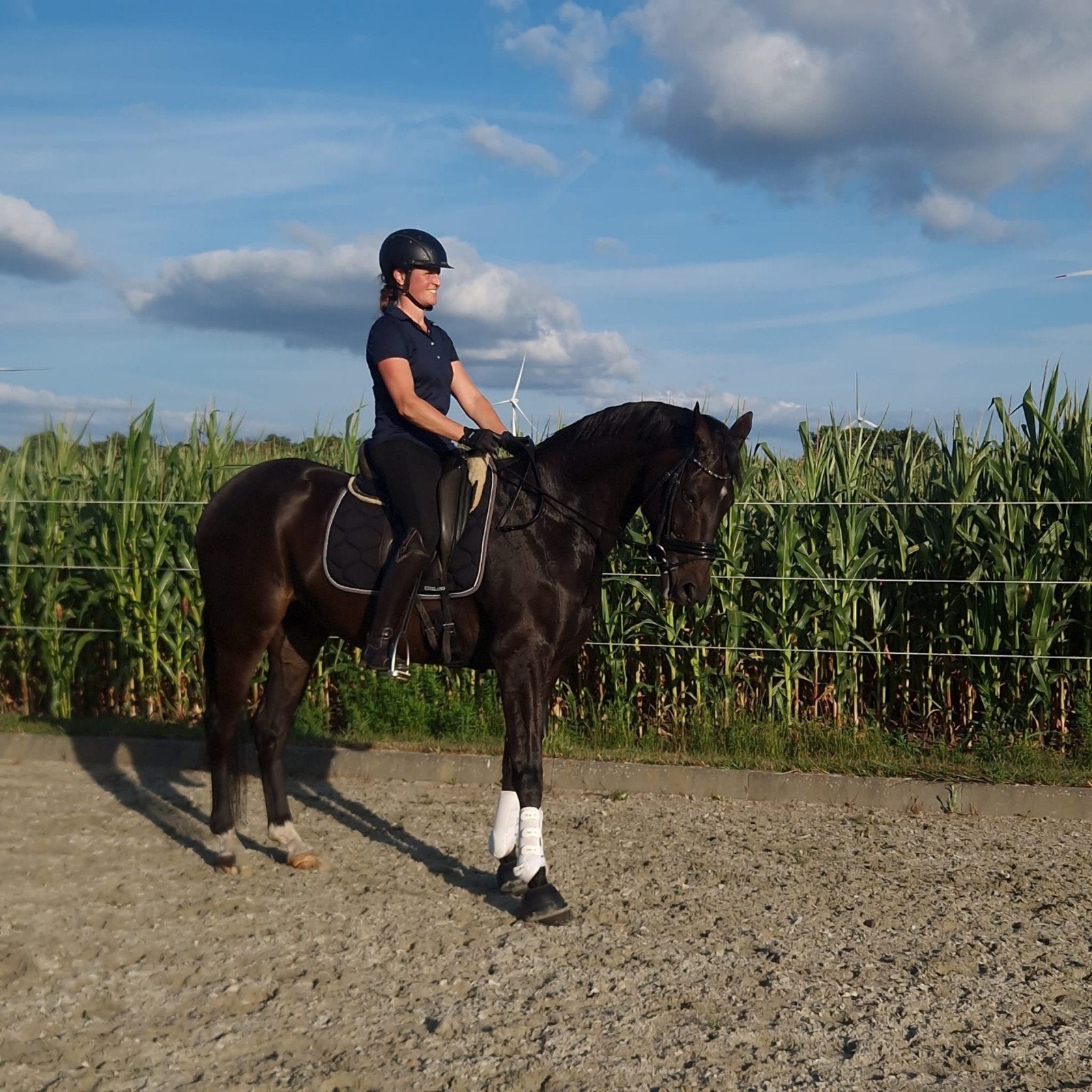 Knap paard, Dieren en Toebehoren, Met stamboom, Ruin, Dressuurpaard, 160 tot 165 cm