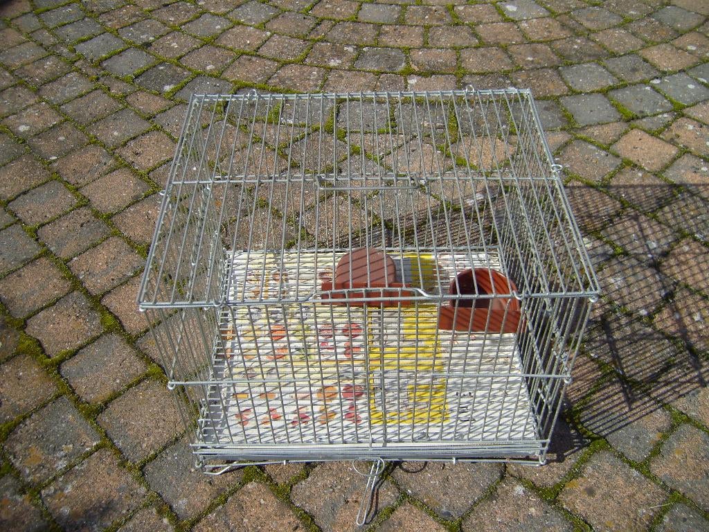 Dierenkooi, Enlèvement, Utilisé