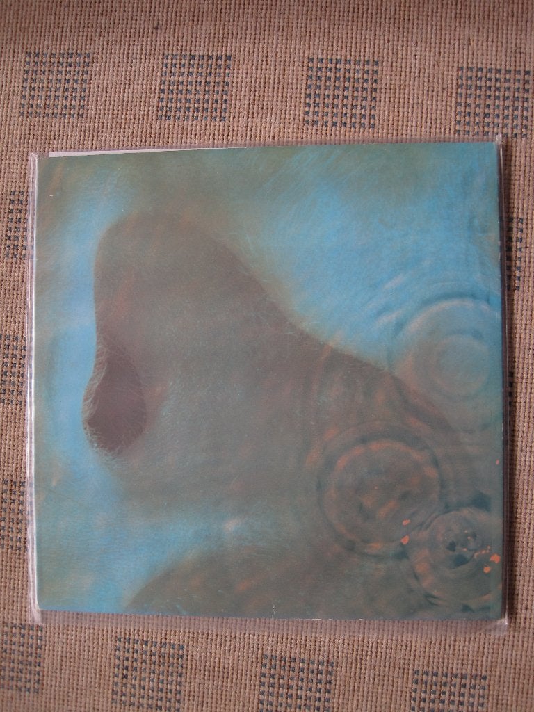 Pink Floyd - Meddle, Rock, Enlèvement ou Envoi, Utilisé, Housse de protection extérieure