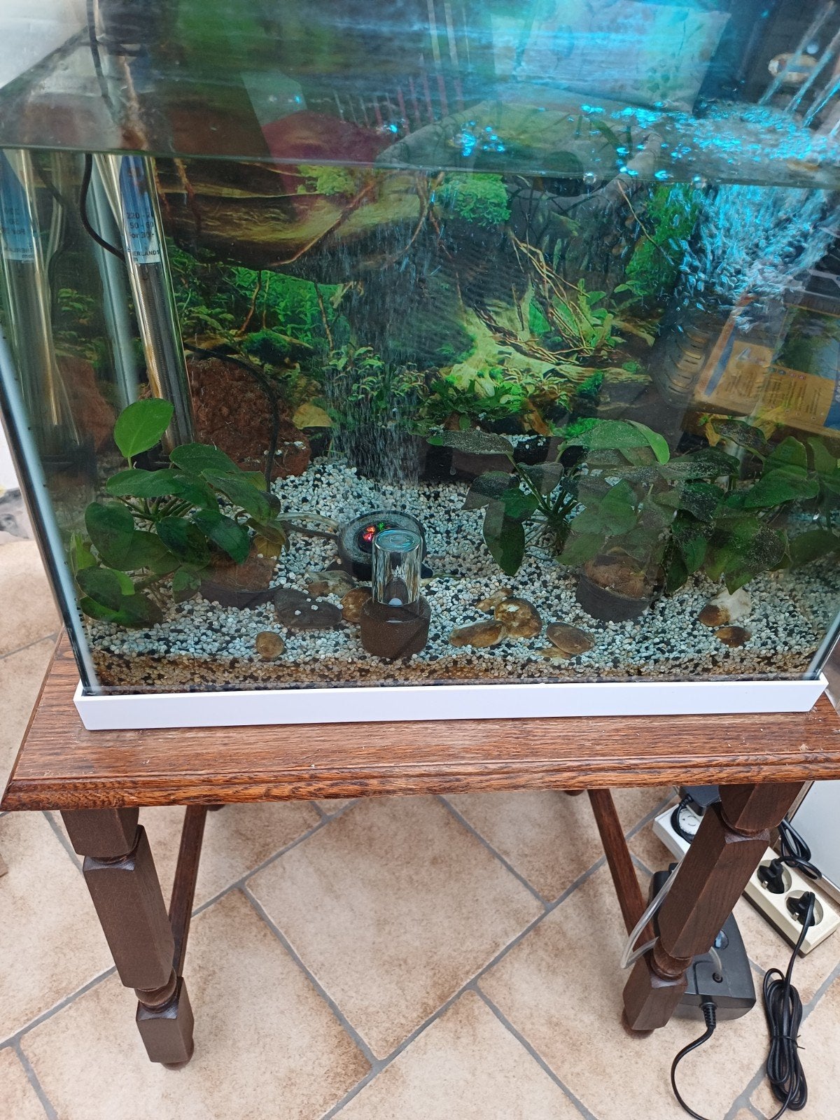 Aquarium à vendre., Pompe