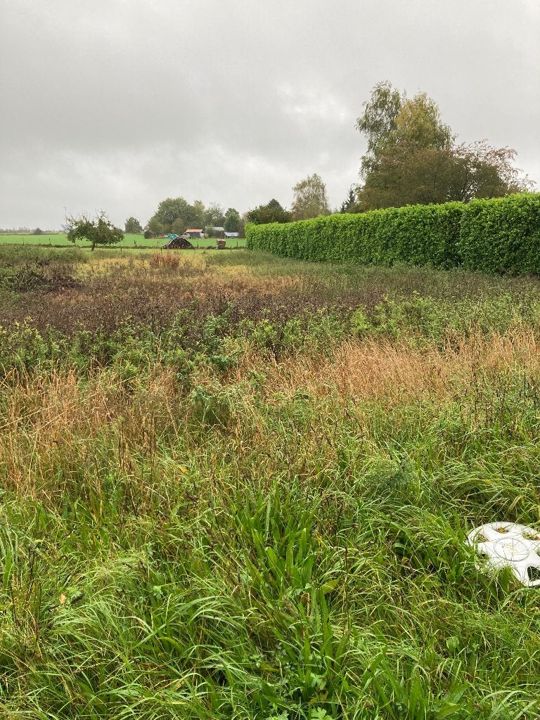terrain a bâtir, Immo, Bertrix, Verkoop zonder makelaar, 1000 tot 1500 m²