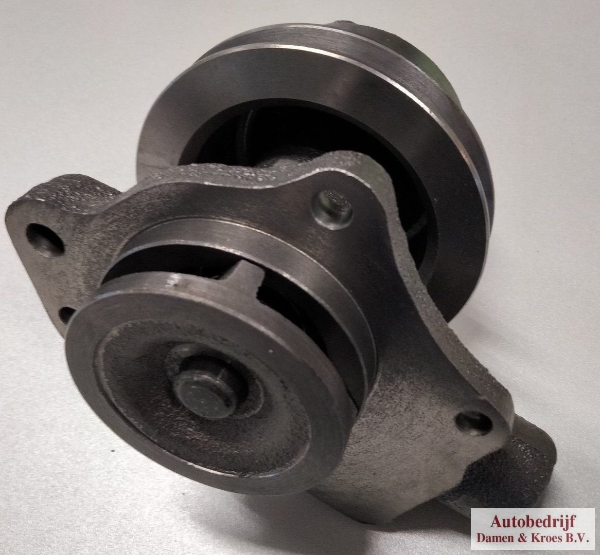 Waterpomp GWP110, Neuf, Austin, -, -