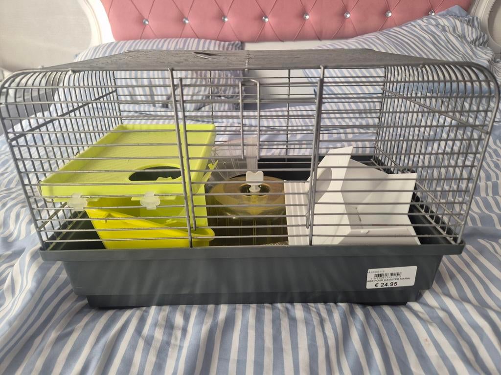 Cage hamster, Dieren en Toebehoren, Ophalen, Kooi, Hamster
