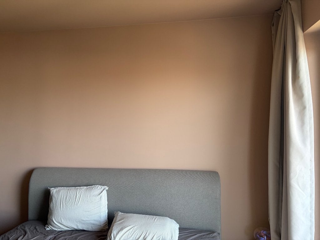 Muurverf BOSS Restoring Pink WAC 048 2,5L, Doe-het-zelf en Bouw, Nieuw, Ophalen of Verzenden, Verf, Roze