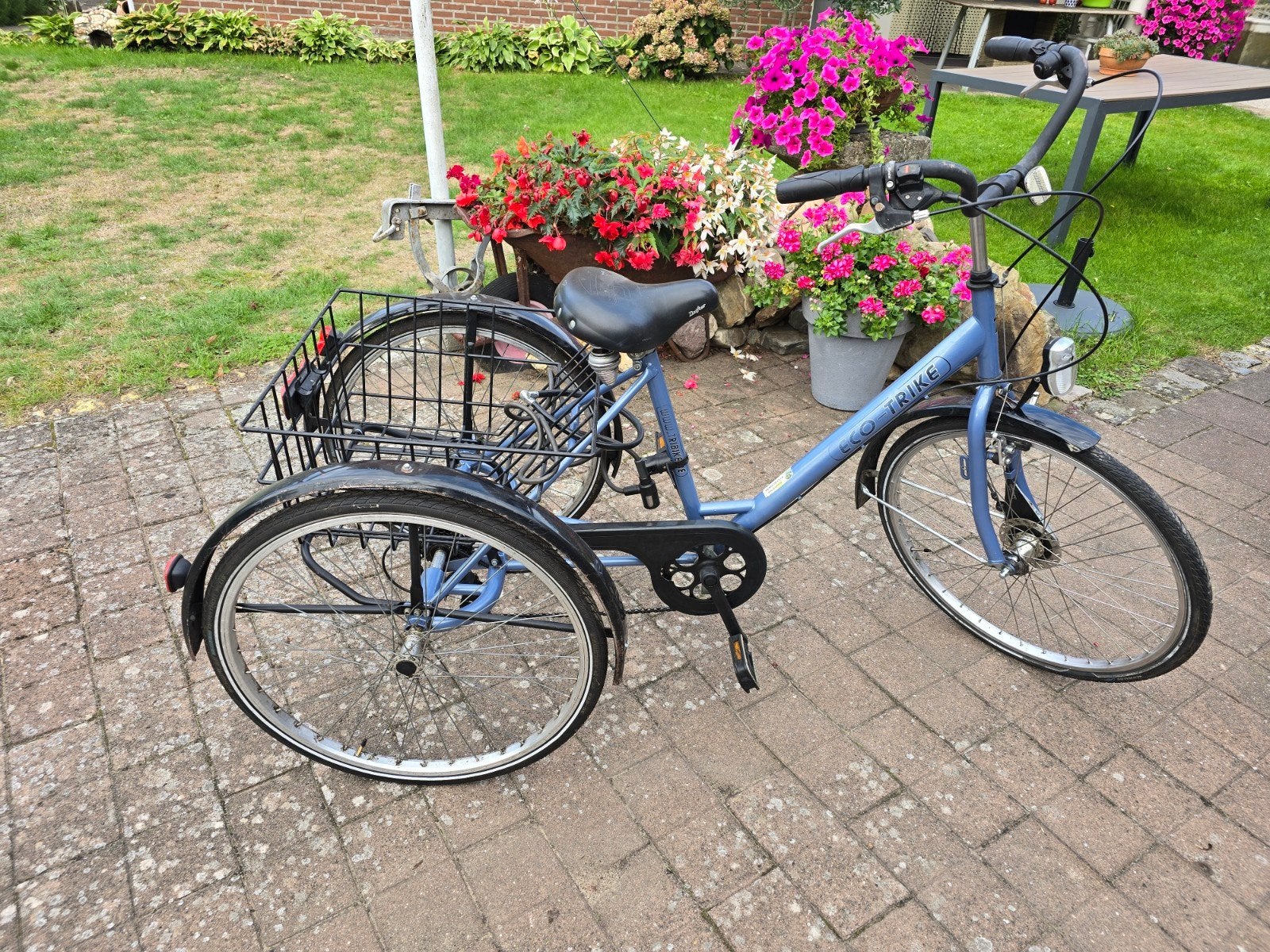 Driewielfiets volwassenen, Fietsen en Brommers, Ophalen, Gebruikt, Eco Trike