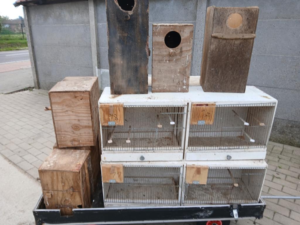 Vogels,parkieten broedbakken ,kweekooien., Enlèvement
