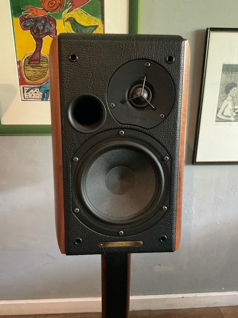 Luidspreker Concerto’s van SF, Audio, Tv en Foto, Luidsprekerboxen, Ophalen, Zo goed als nieuw, Stereo speakers, Overige merken