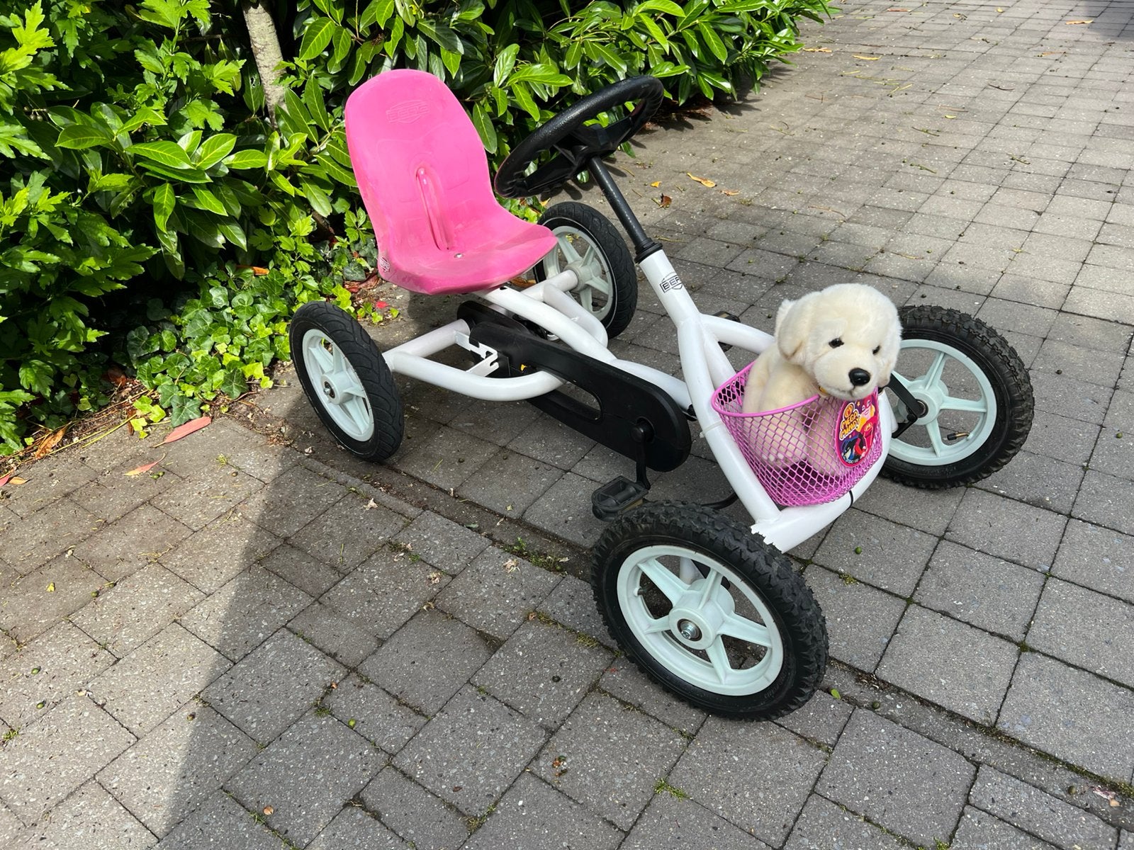 Berg Buddy, Ophalen, Gebruikt, Berg